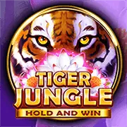 Hành trình phát triển nổ hũ 555win